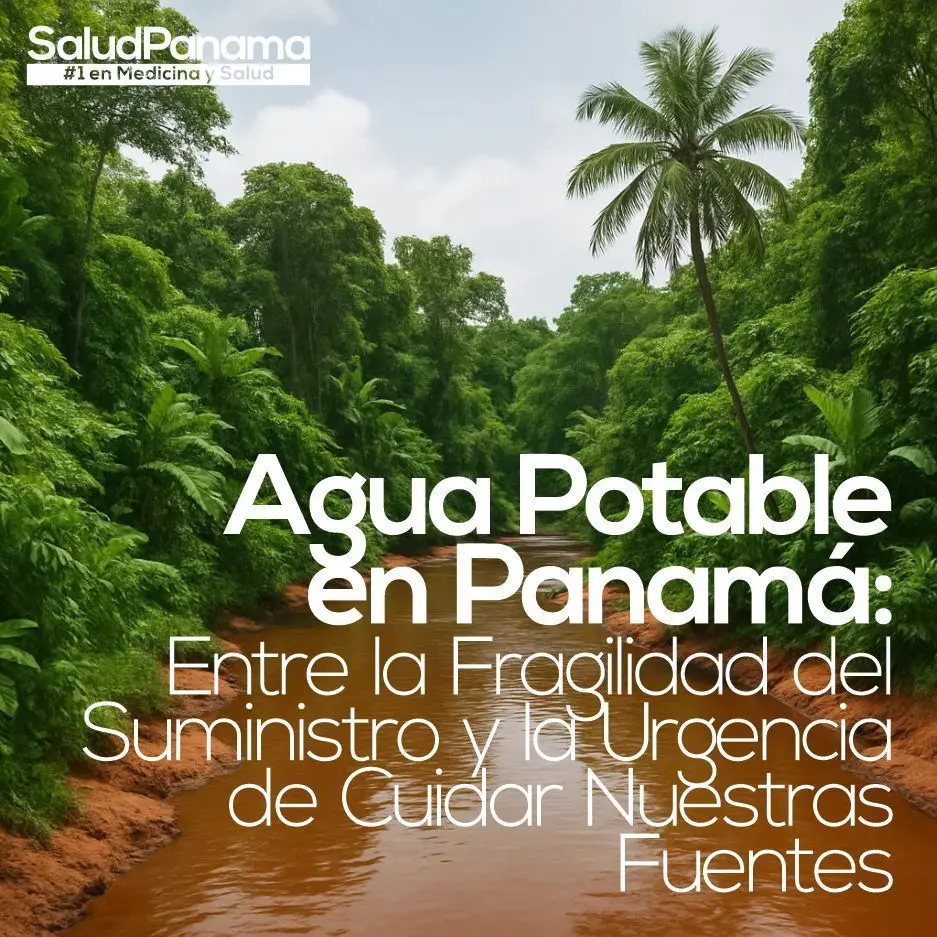 Agua Potable en Panamá: Entre la Fragilidad del Suministro y la Urgencia de Cuidar Nuestras Fuentes
