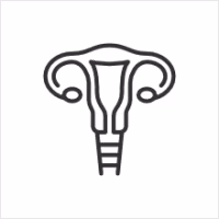 Ginecología, Obstetricia y Reproducción