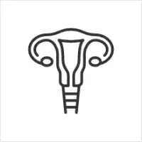 Ginecología, Obstetricia y Reproducción