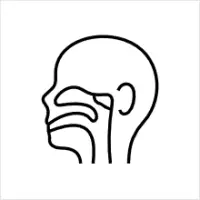 Otorrinolaringología